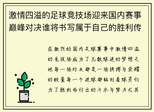 激情四溢的足球竞技场迎来国内赛事巅峰对决谁将书写属于自己的胜利传奇